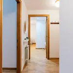 Adrimarcangas 2 *